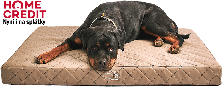 Splatky Gret lezi web png